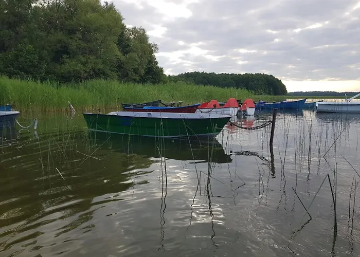 Siedlisko Jelonki