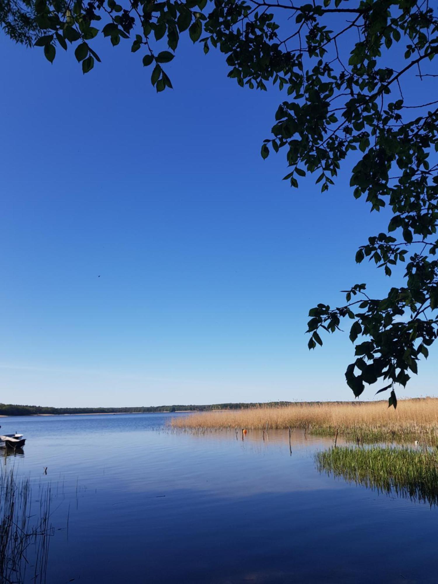 Siedlisko Jelonki Apartment Urowo